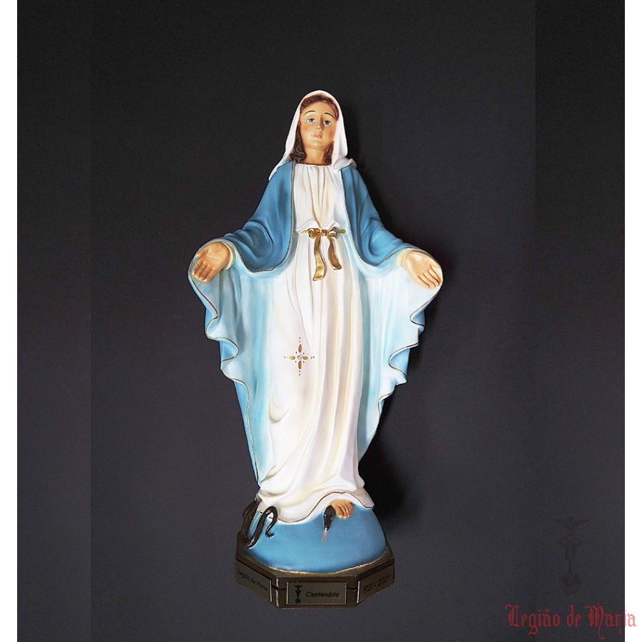 Imagem Peregrina Nossa senhora das Graças